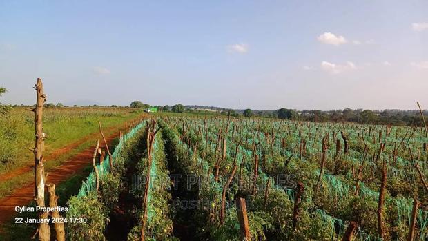 600 Acres for Sale