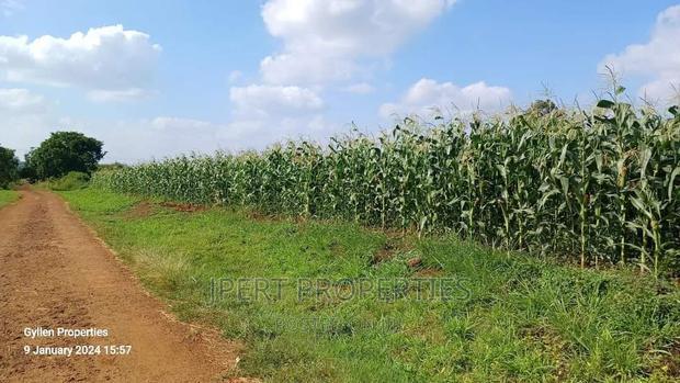 600 Acres for Sale