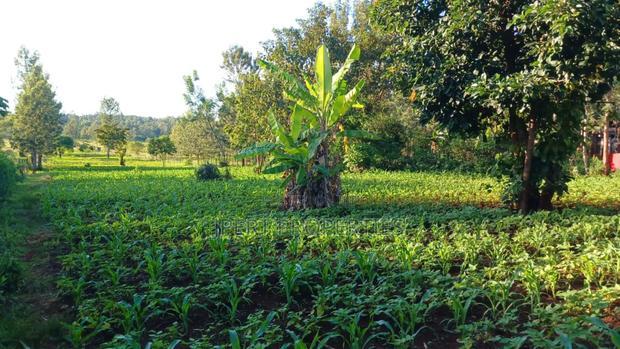 Red Soil Land on Sale