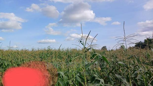 95 Acres for Sale