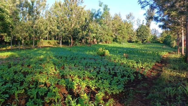 Red Soil Land on Sale