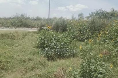 30ft X 150ft Plot Athiriver