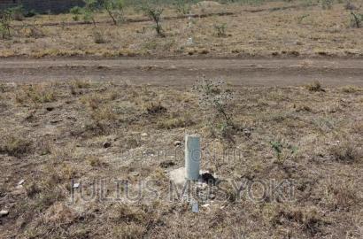 50x100 Plots Joska