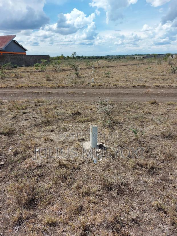 50x100 Plots Joska