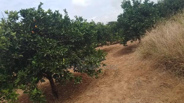 2 Acres Nzaui Makueni