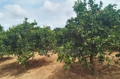 2 Acres Nzaui Makueni