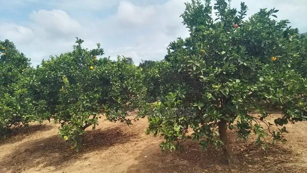 2 Acres Nzaui Makueni