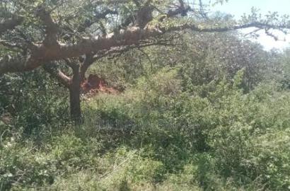 30 Acres Land Makueni