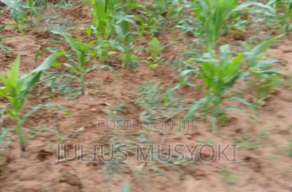 10 Acres Mlolongo Makueni