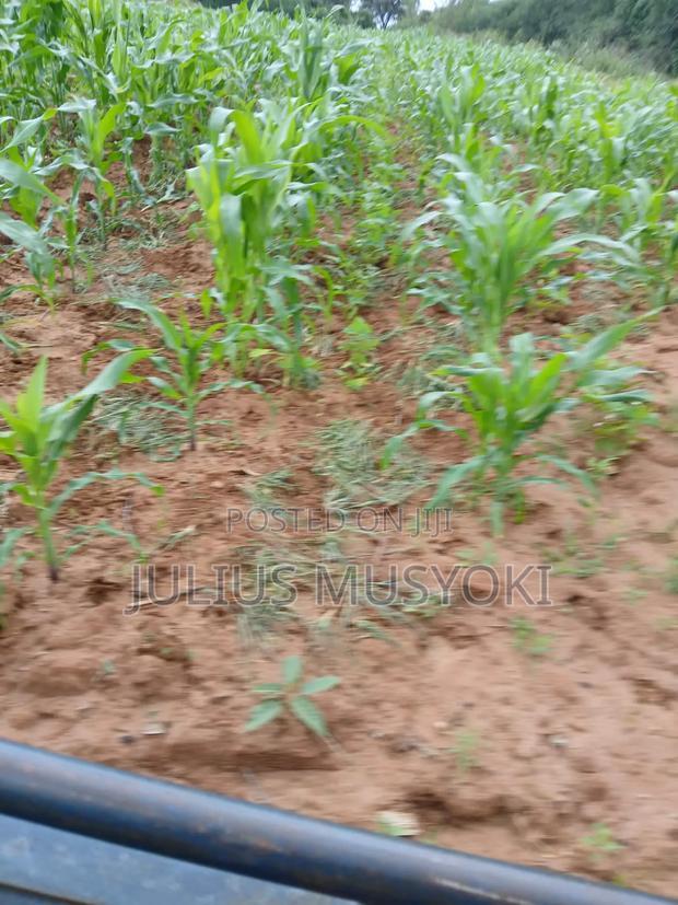 10 Acres Mlolongo Makueni