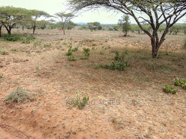5 Acres Sajiloni at 1.2m Per Acre