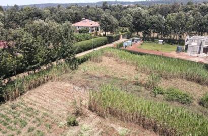 1.2 Acres Rhino Park at 78m