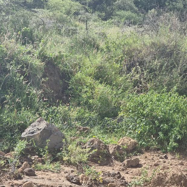 49 Acres Soitamurt, Kajiado West