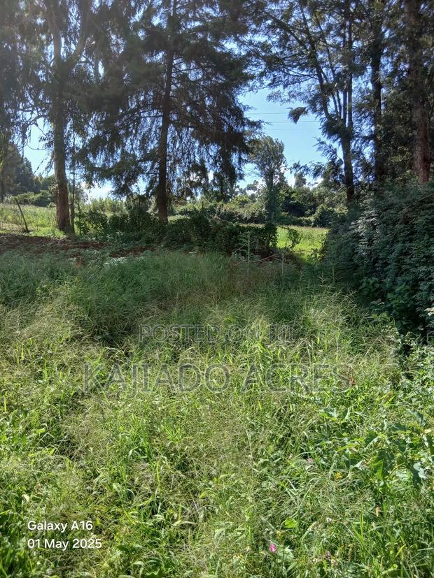 Prime 1/4 Acre Ondiri,Kikuyu at 8m