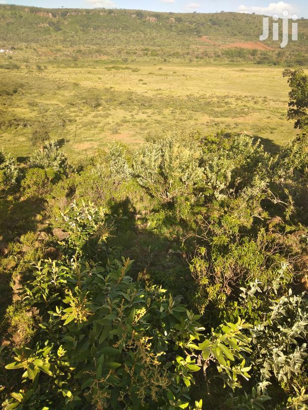 100 Acres Ilkisumeti(Near Eremit)