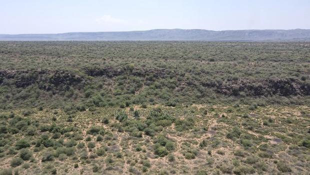 50 Acres on Cliff in Tinga at Per Acre