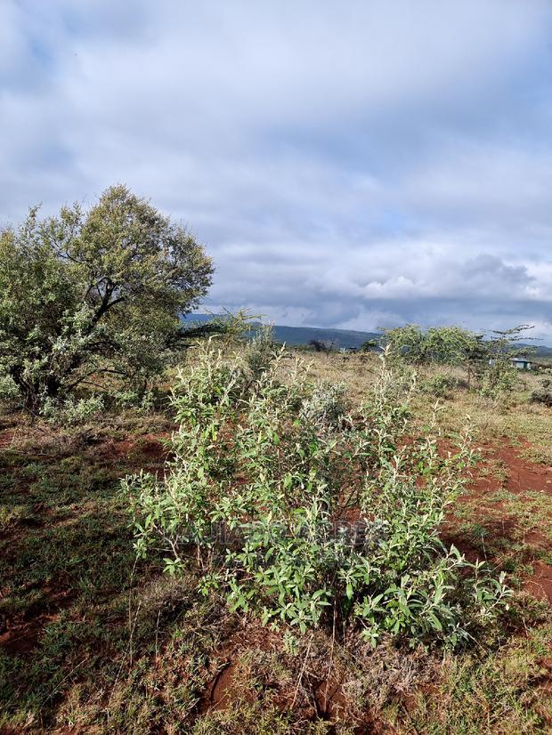 23 Acres Saikeri