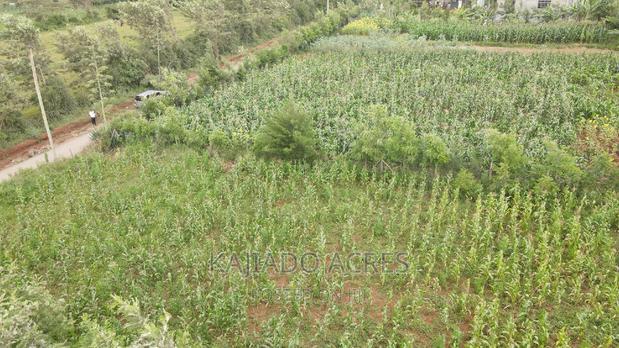 1/4 Acre Kibiku at 6m