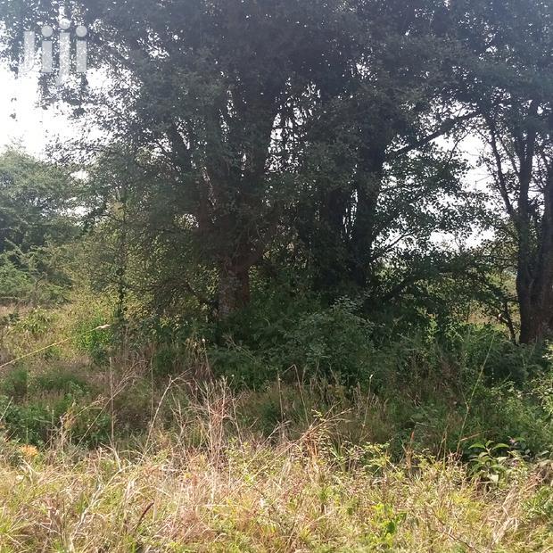 100 Acres Farming Land On Water Table