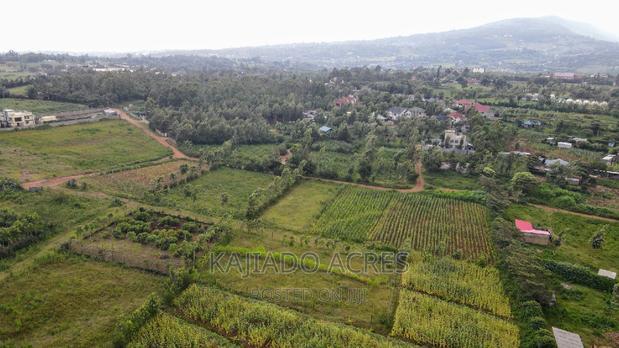 1/4 Acre Kibiku at 6m