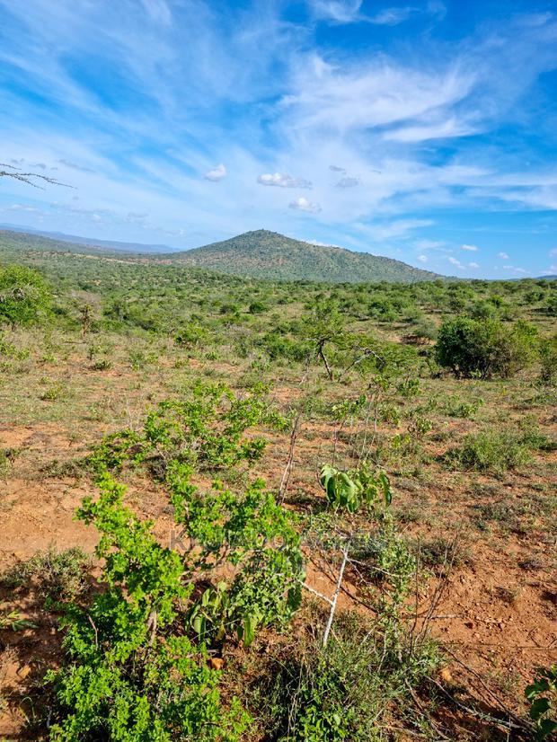 10 Acres Nkorika at 600k Per Acre
