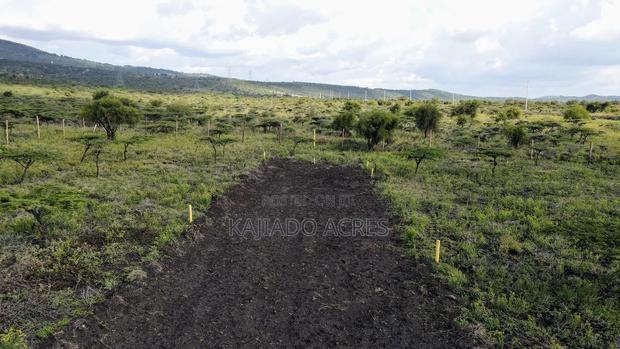 1/8 Acre Kisamis at