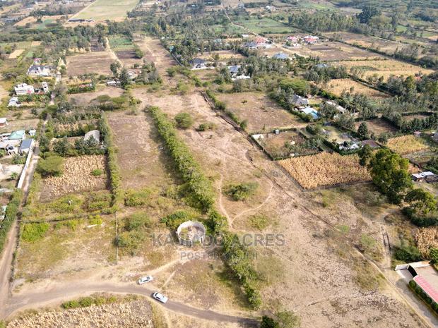 1/4 Acre Kandisi at 4.5m