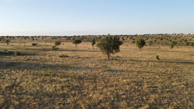 Prime Fenced 38 Acres Sajiloni at 1.5m Per Acre