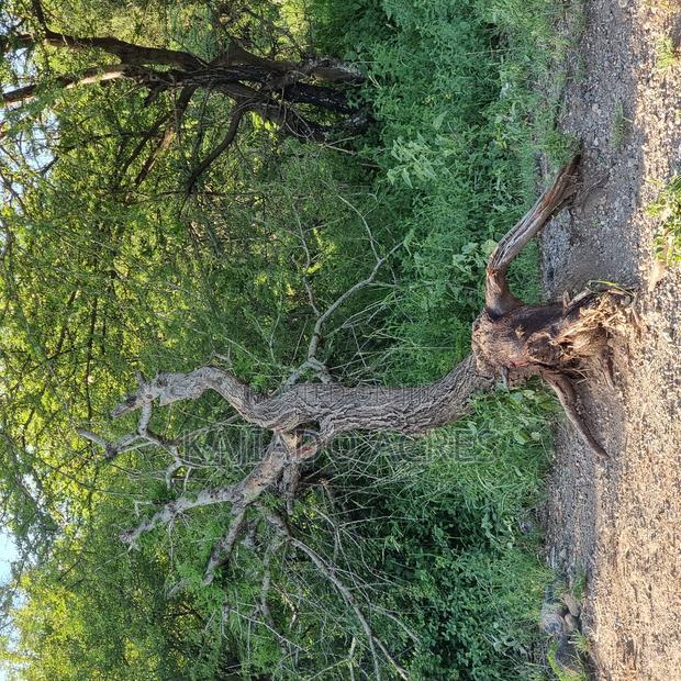 18 Acres Oloika at Per Acre