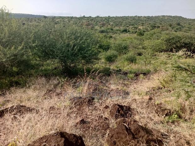 25 Acres Serashi Per Acre