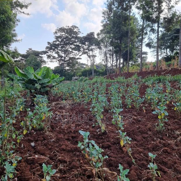 Prime 1/2 Acre Ngere Road, Ngong at 15m