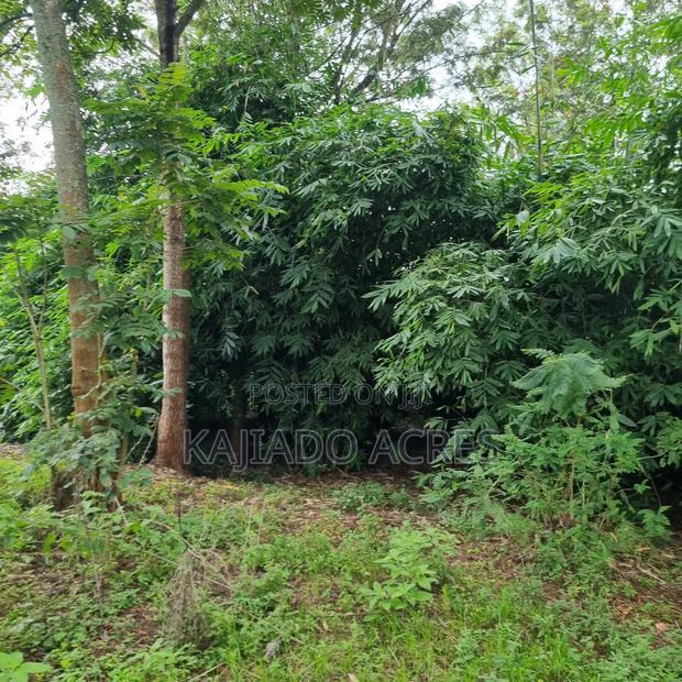Prime One Acre Bondeni