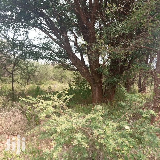 100 Acres Farming Land On Water Table