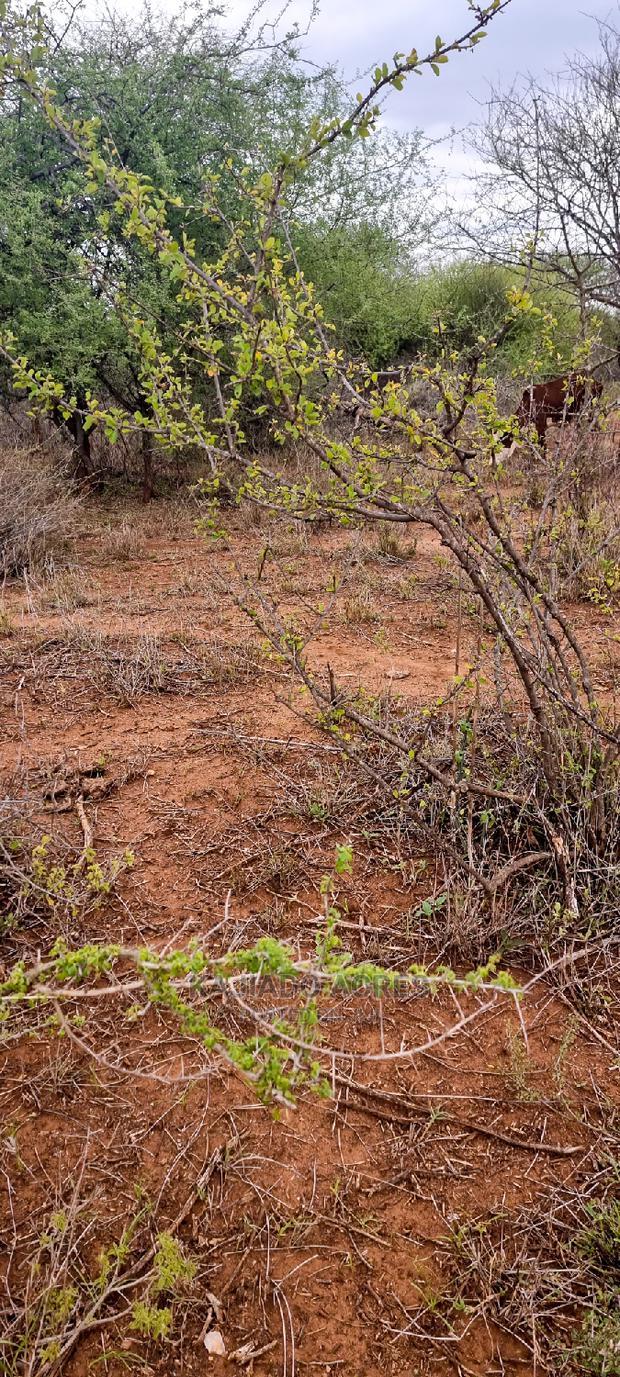 75 Acres and 70acres Maili Tisa at 350k Per Acre