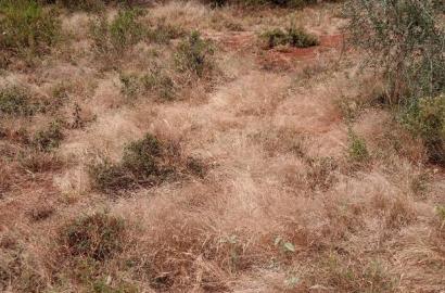 30 Acres Farming Land Lentoko