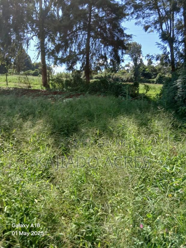 Prime 1/4 Acre Ondiri,Kikuyu at 8m