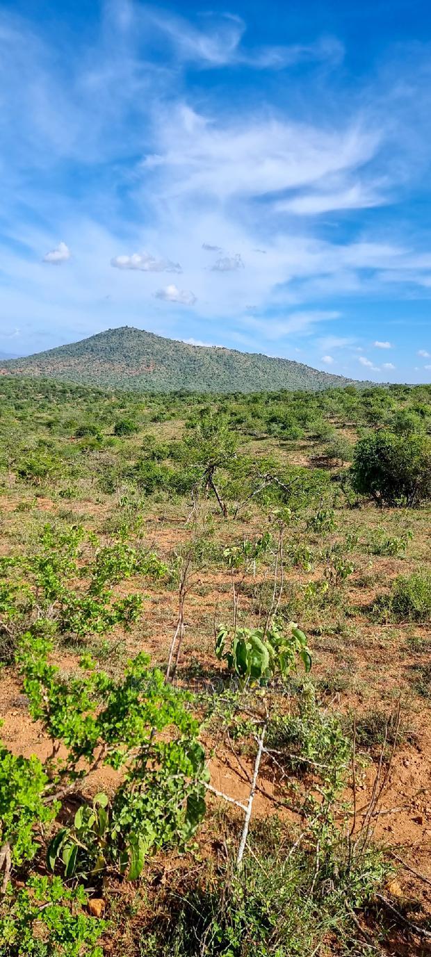 10 Acres Nkorika at 600k Per Acre