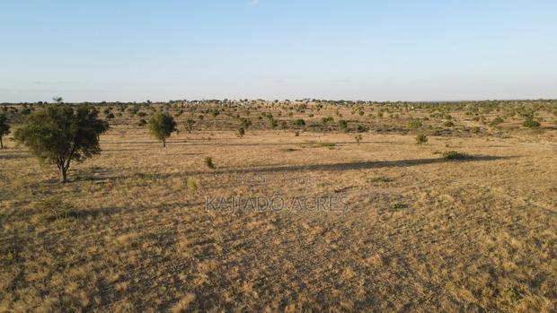 Prime Fenced 38 Acres Sajiloni at 1.5m Per Acre