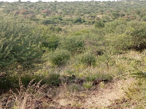 25 Acres Serashi Per Acre