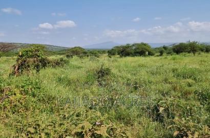 10 Acres Mparashi,Off Magadi Road,At Per Acre