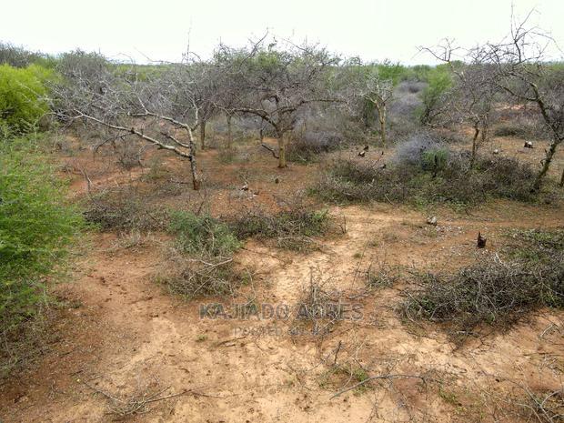 75 Acres and 70acres Maili Tisa at 350k Per Acre