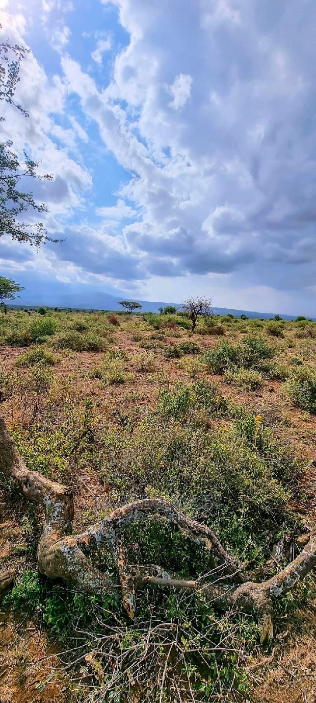 Prime 10 Acres Cliff Edge ,Lentoko,At 420k Per Acre
