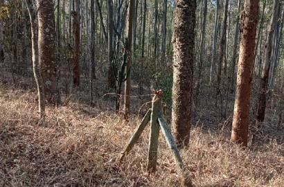 Prime 13 Acres Lukenya