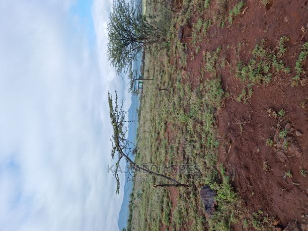 23 Acres Saikeri