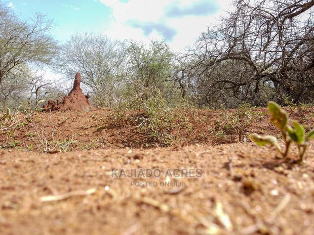 42 Acres Iselengei(Oloitoktok South) at 350k Per Acre