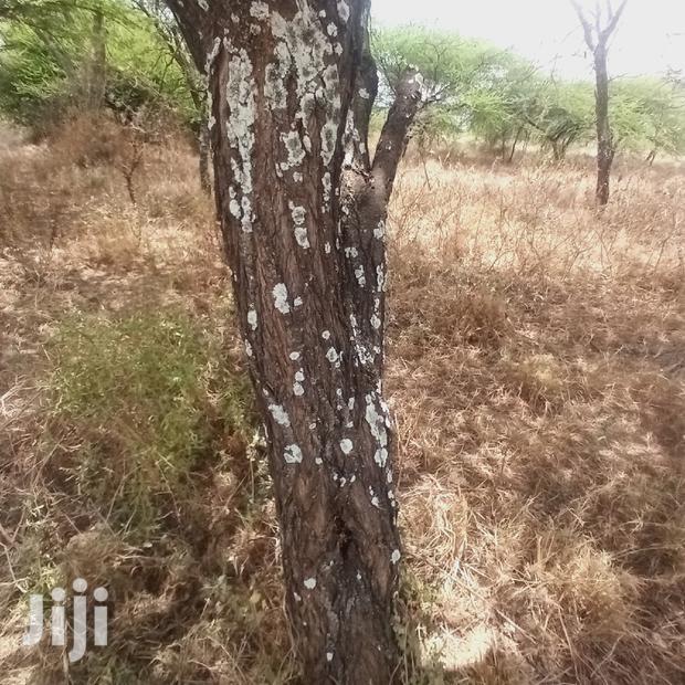 Prime 10 Acres Touching Tinga Najilei Road at 450k Per Acre
