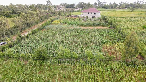 1/4 Acre Kibiku at 6m