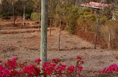 Prime 2.5 Acres Lukenya at 6m Per Acre