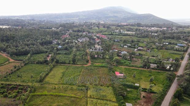 1/4 Acre Kibiku at 6m