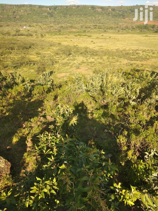 100 Acres Ilkisumeti(Near Eremit)